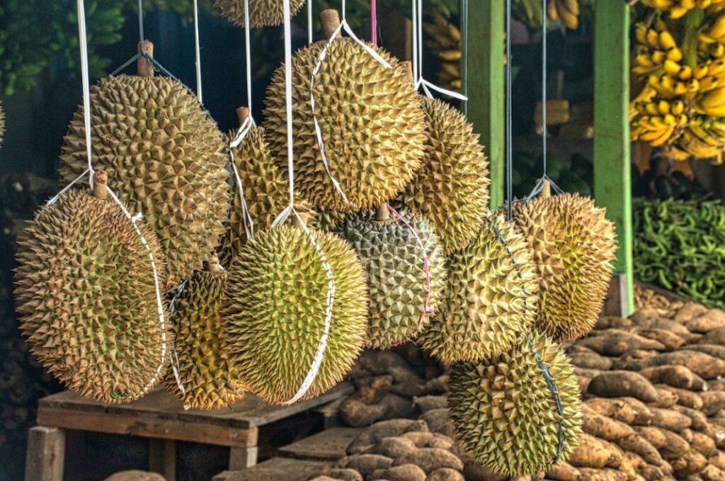 Bingung Memilih Durian? 16 Cara Memilih Durian Yang Berkualitas